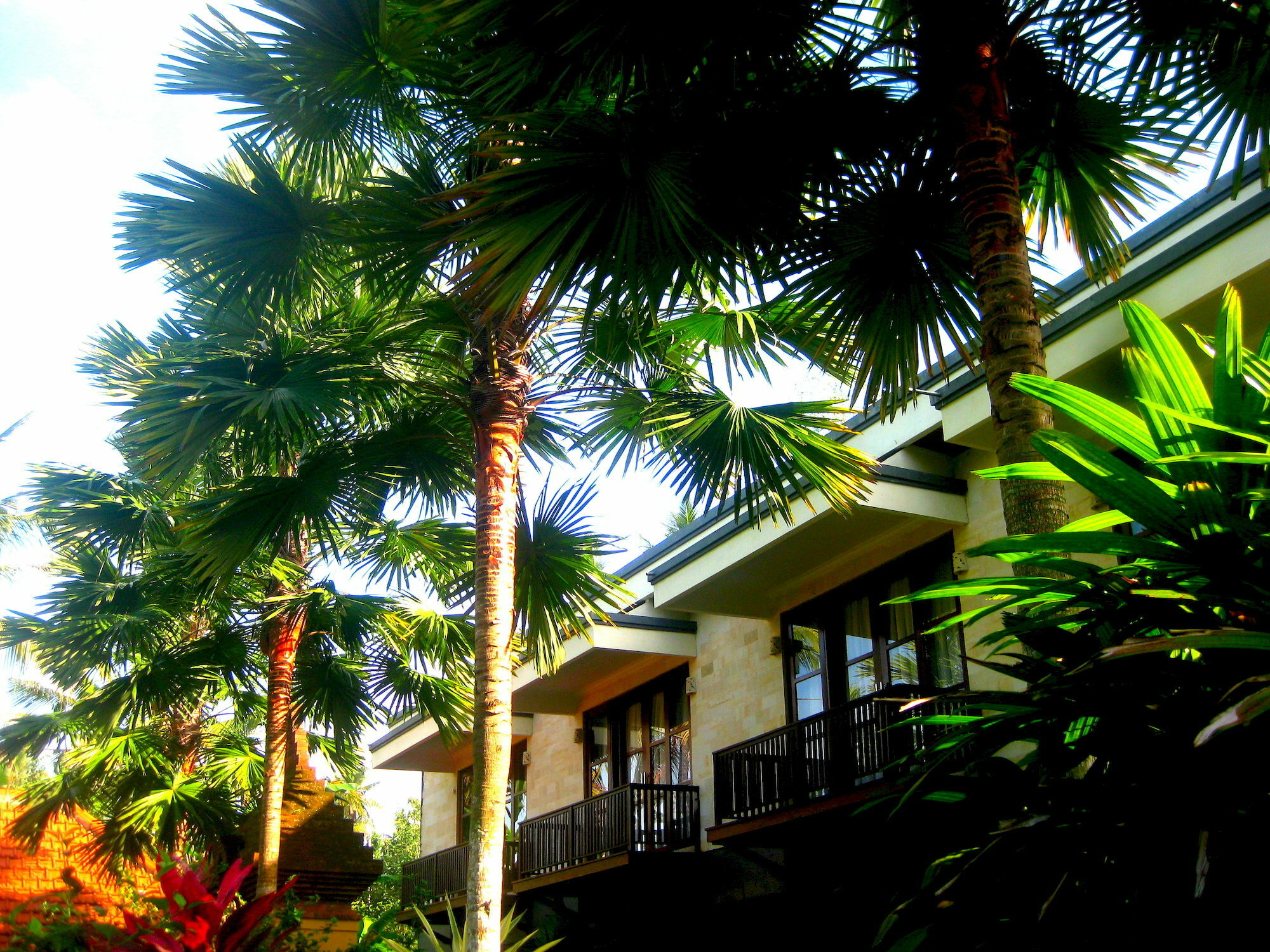 Villa Sonia Bisma Ubud  Exterior photo