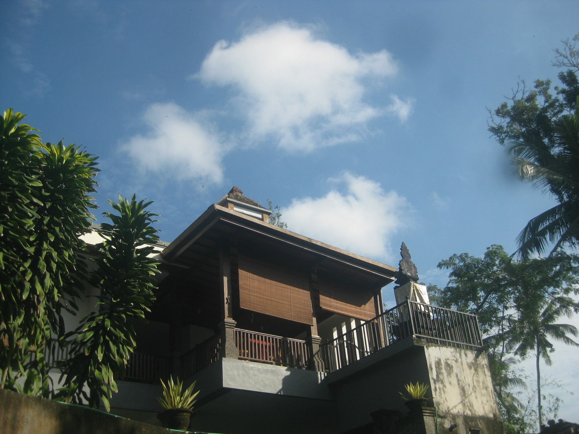 Villa Sonia Bisma Ubud  Exterior photo